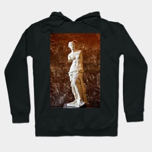 Venus de Milo Hoodie